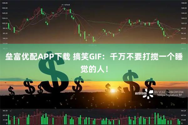 垒富优配APP下载 搞笑GIF：千万不要打搅一个睡觉的人！